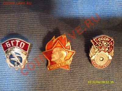 оцените - SDC12965.JPG