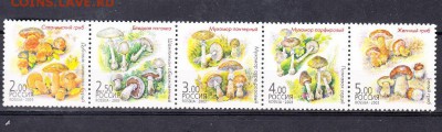 РФ 2003 грибы сцепка - 199