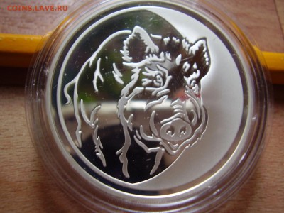 3 рубля 2007. год Кабана - P7290166.JPG