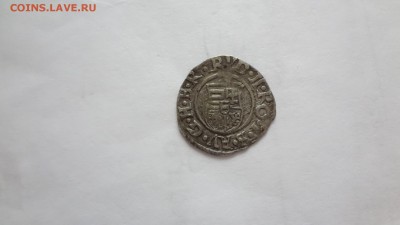 Денарий Венгерский 1595 года. До 10.04.16г 22.00мск - DSC03674.JPG