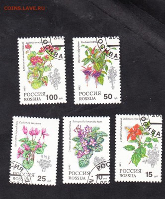 РФ 1993 цветы - 21