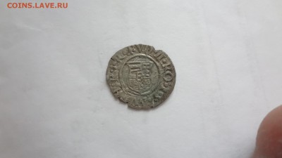 Денарий Венгерский 1595 Года. До 10.04.16г 22.00мск - DSC03688.JPG