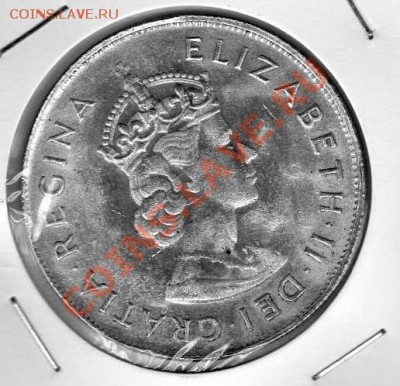 Копия 1 доллара Бермуды 1959 - стоит ли чего-нибудь? - img021