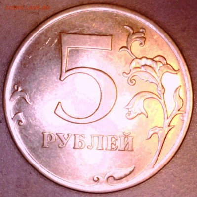 5 рублей 2009 Н-5,5Г по АС? - IMG00045.JPG