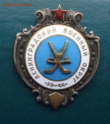 ГТО 2 ст. Отличный стрелок. и куча знаков. Оценка! - DSC08687.JPG