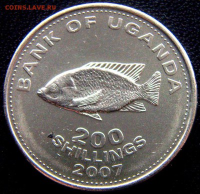 Уганда_200 шиллингов 2007 "Рыба цихлида"; до 10.04_22.06мск - 11173