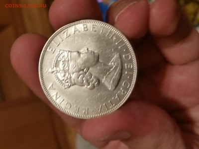 1 крона Бермуда 1964 г. №1 - 20160409_214519