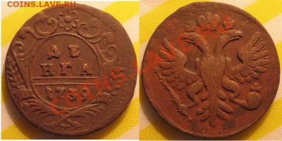 орел на денге - 1739moskva