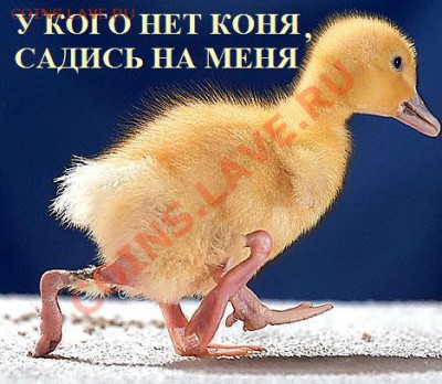 Ассоциация слов - Утка-мутант