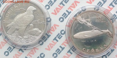 Сейвал и беркут 1 рубль 2002 год до 14.04.2016 в 22.00 - image