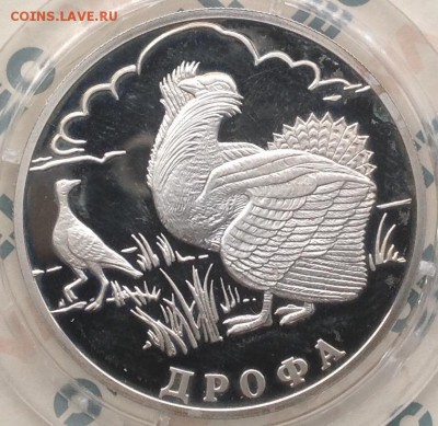 Дрофа 2004 1 рубль до 12.04.2016 в 22.00 короткий лот - image
