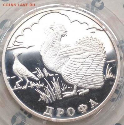 Дрофа 2004 1 рубль до 12.04.2016 в 22.00 короткий лот - image