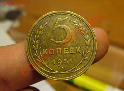 5 копеек 1931 года Отличный! До 02.11.10 в 22.00 по мск - 5 копеек 1931 года  3.JPG
