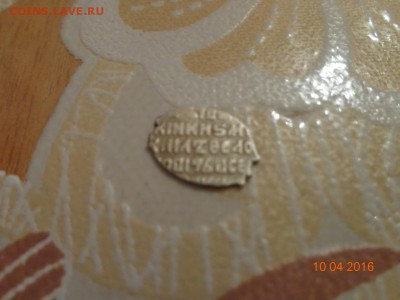 чешуйка - DSC00847.JPG
