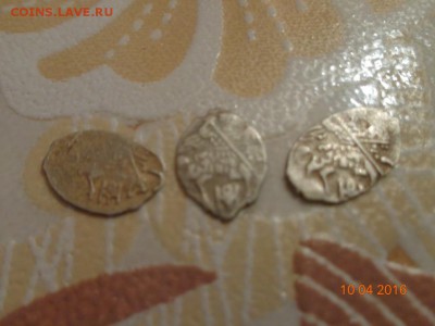 24 чешуйки Мих.фёдоровича - DSC00849.JPG