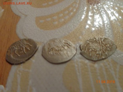 24 чешуйки Мих.фёдоровича - DSC00853.JPG