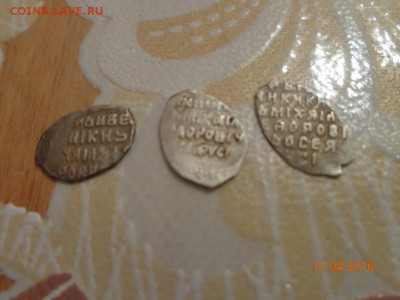 24 чешуйки Мих.фёдоровича - DSC00854.JPG