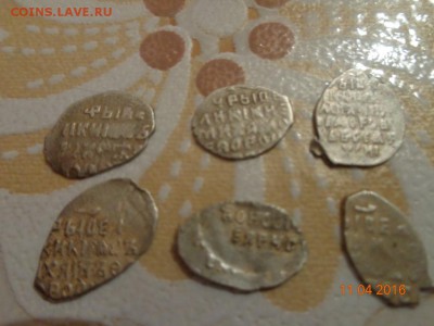 24 чешуйки Мих.фёдоровича - DSC00858.JPG