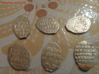 24 чешуйки Мих.фёдоровича - DSC00860.JPG