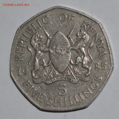 Кения 5 шиллингов 1985 г. 7-угольная. До 17.04.2016г. - _DSC0663.JPG