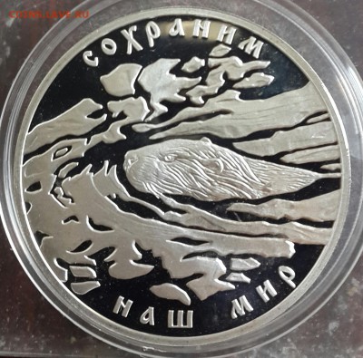 3 рубля 2008. СНМ. Речной бобр. С 200 р. До 15.04.2016 в 22. - 20160411_174940-1