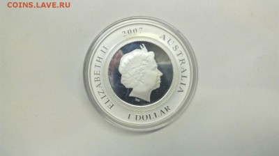 1$ 2007г. Год Свиньи до 18.04 с 200р - wCNyLdHnf1k