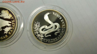 Красная Книга 1994 Медведь Кобра Казарка до 18.04 с 200р. - Oj2yuzkGchg