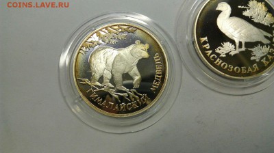 Красная Книга 1994 Медведь Кобра Казарка до 18.04 с 200р. - vkUe_G6b7Io