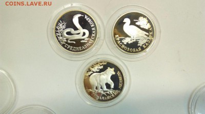 Красная Книга 1994 Медведь Кобра Казарка до 18.04 с 200р. - I0Zk6bEGyE4