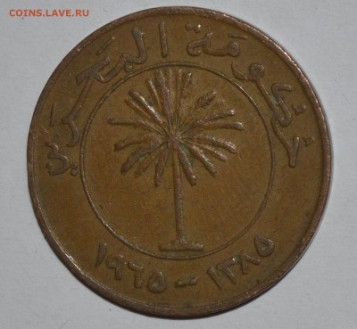 БАХРЕЙН 10 филс 1965 г. До 18.04.2016г. - _DSC0703.JPG