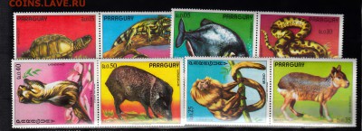 Парагвай 19974 фауна - 38