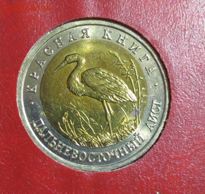 Красная книга 1991 и 1993 гг в альбоме. (на оценку) - IMG_0477.JPG