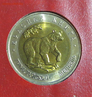 Красная книга 1991 и 1993 гг в альбоме. (на оценку) - IMG_0474.JPG