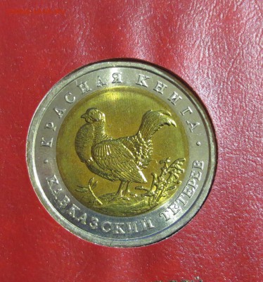 Красная книга 1991 и 1993 гг в альбоме. (на оценку) - IMG_0472.JPG