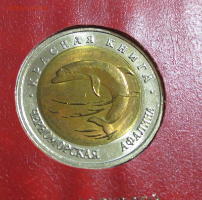 Красная книга 1991 и 1993 гг в альбоме. (на оценку) - IMG_0471.JPG
