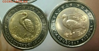 Ковров, Калач-на-Дону, Псков, Вязьма, ЧЯП, КК и др. - IMG_20160410_085649.JPG