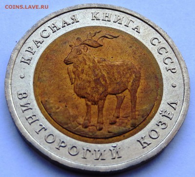 Винторогий козёл)! до 19.04.2016 с 200 руб - IMG_0482.JPG