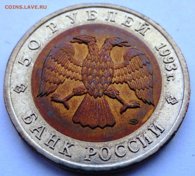 50 рублей Гималайский медведь с 200 руб! до 19.04.16 22:00 - IMG_0498.JPG
