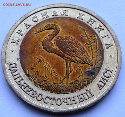 50 руб. 1993г.  Дальневосточный аист с 200р. до 19-04-2016 г - IMG_0502.JPG