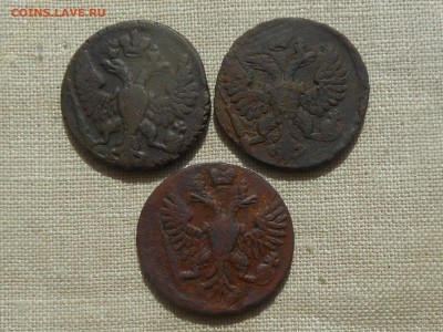 денга 1748,49,50 до 17.04.2016 в 22-00 МСК - RSCN6359.JPG