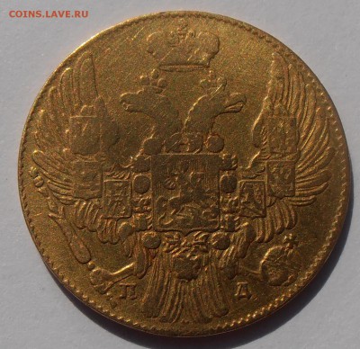 5 рублей 1833, на подлинность и оценку. - P1010368.JPG