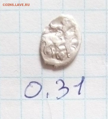 помощь в определении и оценки чешуи - чеш (2).JPG