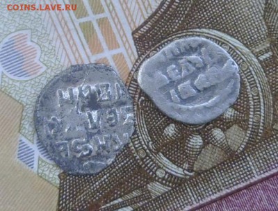 Пара чешуек - P1000665