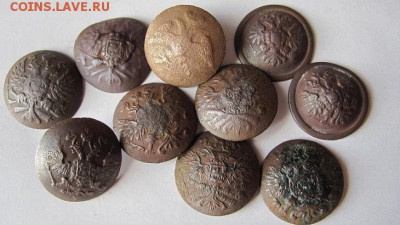 Пуговки с орликами - 10шт. до 17.04.16 - Безымянный