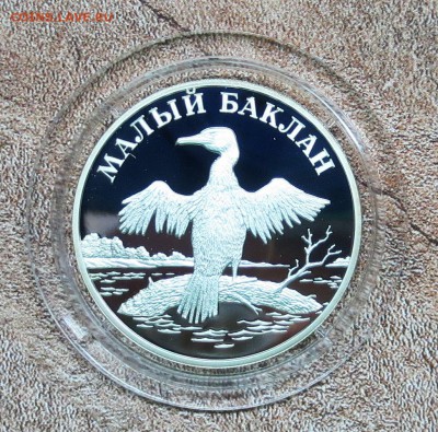 К.К. 2003 г.1 руб....МАЛЫЙ БАКЛАН..(пруф)........ до 18.04 - IMG_5870.JPG