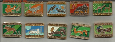 Фауна Сибири - Фауна Сибири