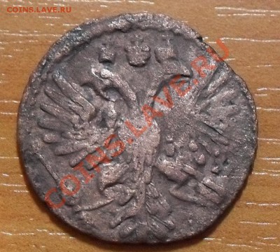 полушка 1734г. - SDC12066.JPG