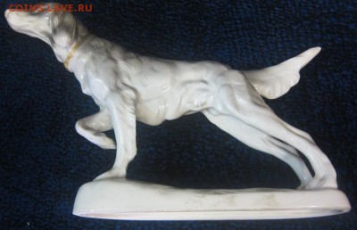 фарфоровая стауэтка - сеттер, Германия, 1970-е гг. - оценка - IMG_2626.JPG