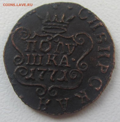 полушка 1771 - Сибирь - на подлинность - IMG_2571.JPG