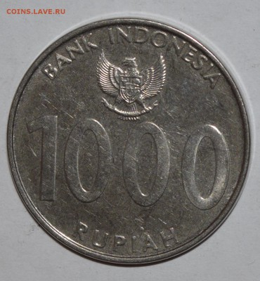 Индонезия 1000 рупий 2010г. До 19.04.2016г. - _DSC0819.JPG